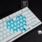 Black White Rose 131+21 PBT Dye-subbed PC Crystal Clear Backlit Cool Keycaps Set Screen Printing Doubleshot Side Legends